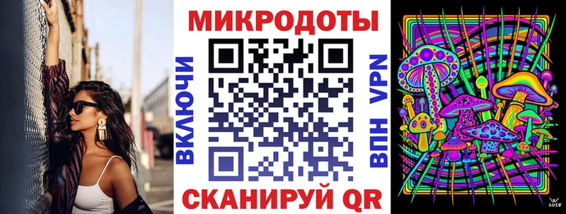 закладки  Советск  Галлюциногенные грибы GOLDEN TEACHER 